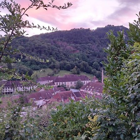 Le Coeur De Sel Διαμέρισμα Salins-les-Bains Εξωτερικό φωτογραφία